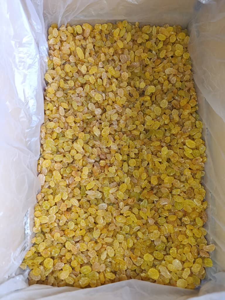 کشمش درجه یک